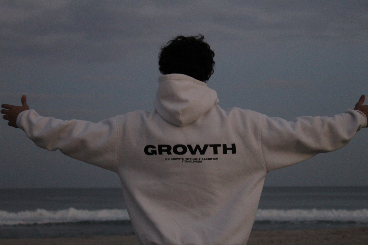 Growth/ No Growth Without sacrifice Hoodie