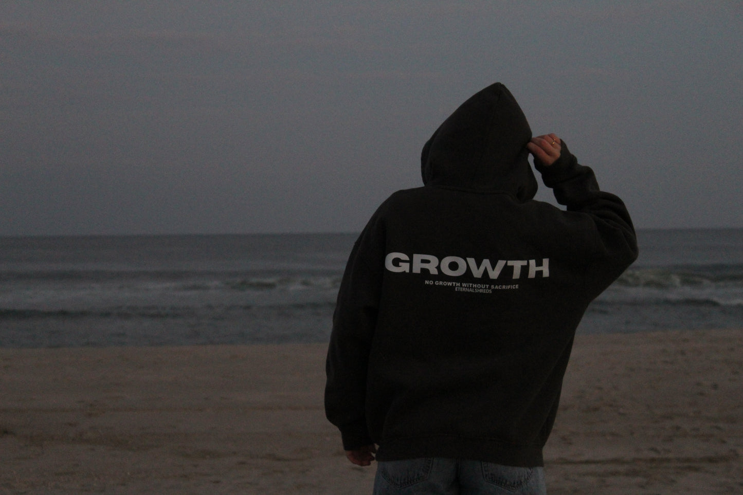 Growth/ No Growth Without sacrifice Hoodie